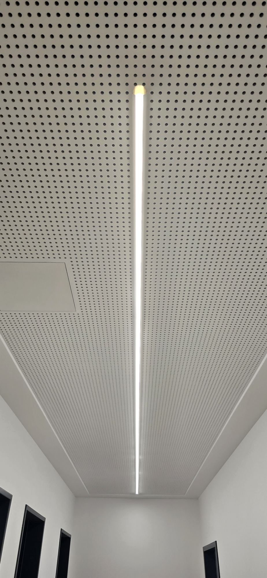 Gelochte Akustikdecke mit durchlaufender LED-Lichtlinie in einem B&uuml;roflur